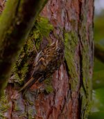DSC_0018.jpg