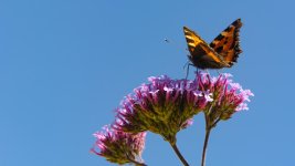 DSC_5494.jpg