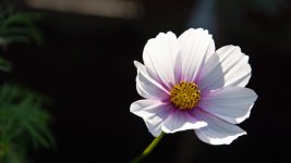 DSC_5497.jpg
