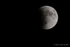 D71_4942-Edit.jpg