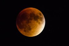 moon7.jpg