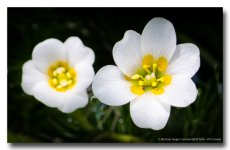 today-morning-4.jpg