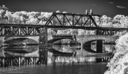 20150822-D81_4532-Edit.jpg
