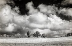 20150905-D81_5019-Edit-Edit.jpg