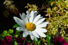 DSC_5576.jpg
