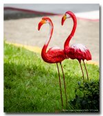 today-morning2-8.jpg