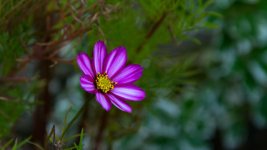 DSC_5568.jpg