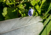 untitled-1-477.jpg