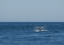 15B_5255.jpg