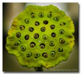today-evening-35-8.jpg