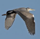 DSC_3755.jpg