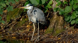 DSC_5673.jpg