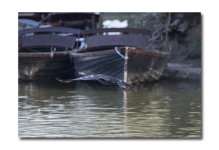DSC_3792.jpg