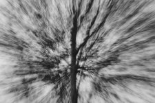 Zoooooom.jpg