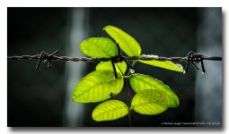 rainy-saturday-banbung (1).jpg