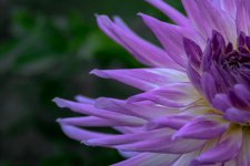 DSC_5711.jpg