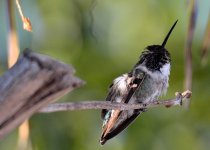 2nd Oct 2015 022.JPG
