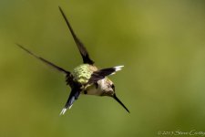 DSC_5569_2.jpg