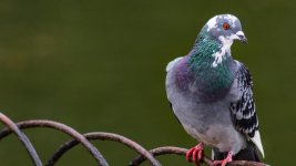 DSC_5754.jpg