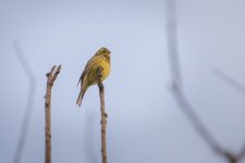 DSC_4519.jpg