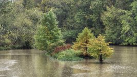 Hiwasee River -8-2.jpg