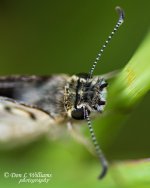 wm_DSC0405.jpg
