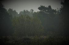 DSC_0001.jpg