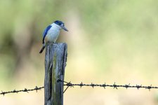 DSC_1613.jpg