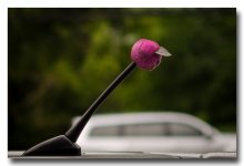 afternoon-1.jpg