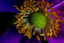 DSC_5831.jpg