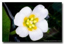 morning-40-3.jpg