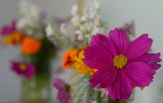 MCC_0086 - copie.jpg