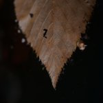 MCC_0114.jpg