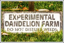 182434d1444342863-weekly-challenge-oct-7-oct-14-signs-dsc_2151.jpg