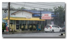 rainy-snaps-50mm-1 (1).jpg