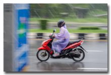 rainy-snaps-50mm-1 (8).jpg
