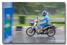 rainy-snaps-50mm-1 (9).jpg