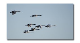 DSC_4028.jpg