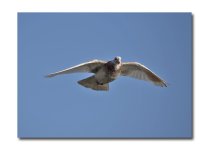 DSC_4283.jpg