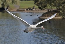 DSC_4263.jpg