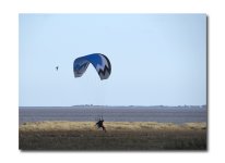 DSC_4378.jpg