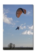 DSC_43531.jpg