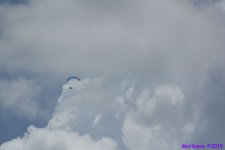 DSC_6457_01.JPG