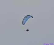 DSC_6459_01.JPG
