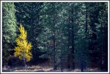 DSC_2317.jpg