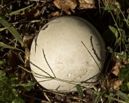 _AAA6639 - Version 2.jpg