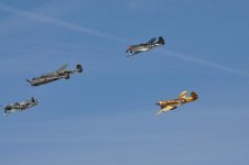 DSC_0449.jpg