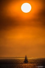 20140814-SHM_6564.jpg