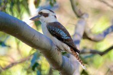 DSC_2389.jpg
