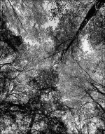 10-10-15 Penninsula and Brandy Wine   37BW.jpg